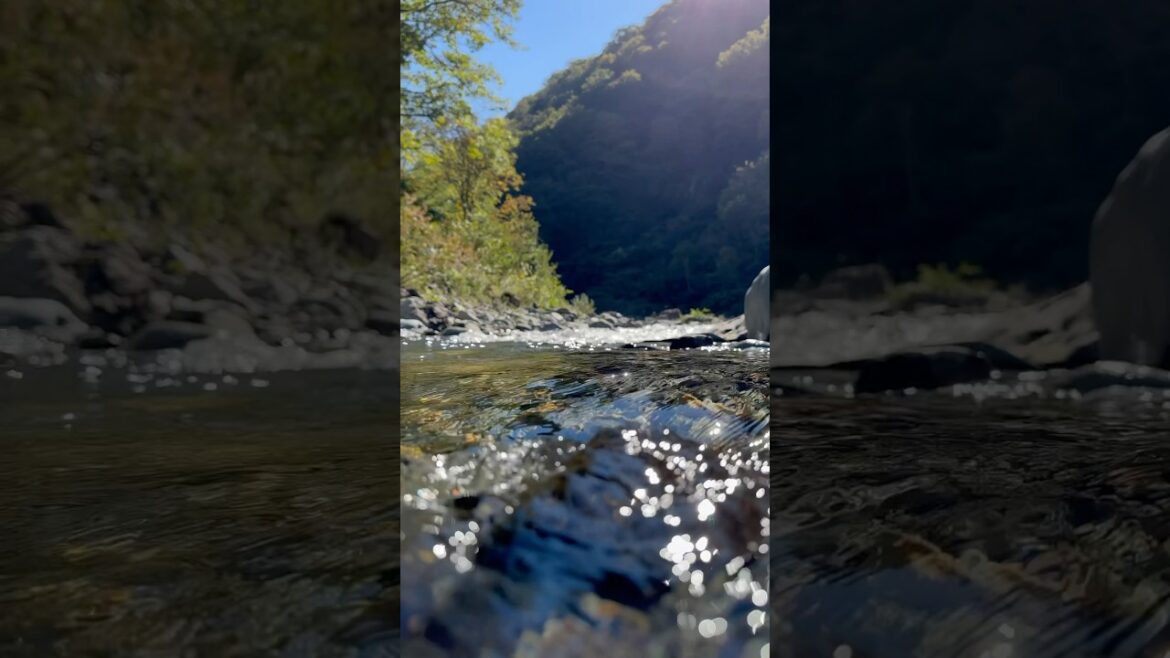 There's a hot spring in the river. #asmr #asmrsounds #asmrvideo #asmrsound