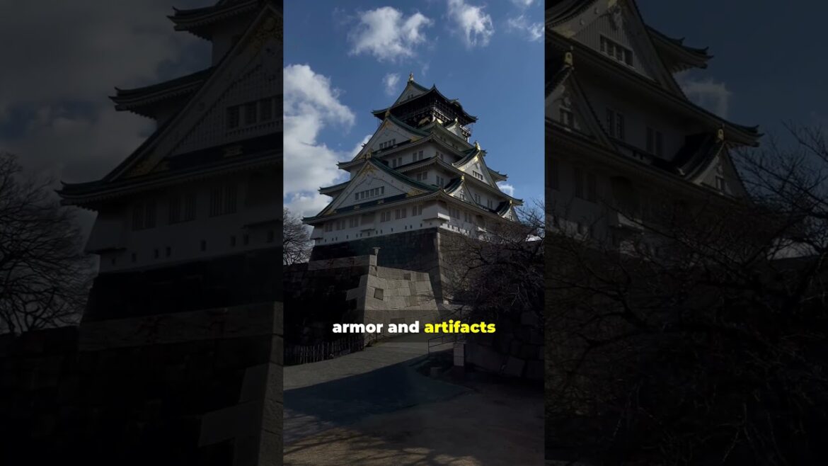 Osaka Castle: Japan’s Timeless Fortress of History and Beauty! Osaka Castle: Japan’s Timeless Fortress of History and Beauty!
