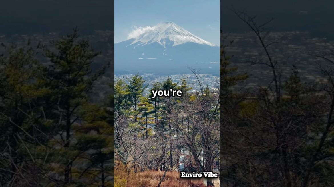 Quick Tour Of Mount Fuji! #shorts #quicktour #mountfuji #japan