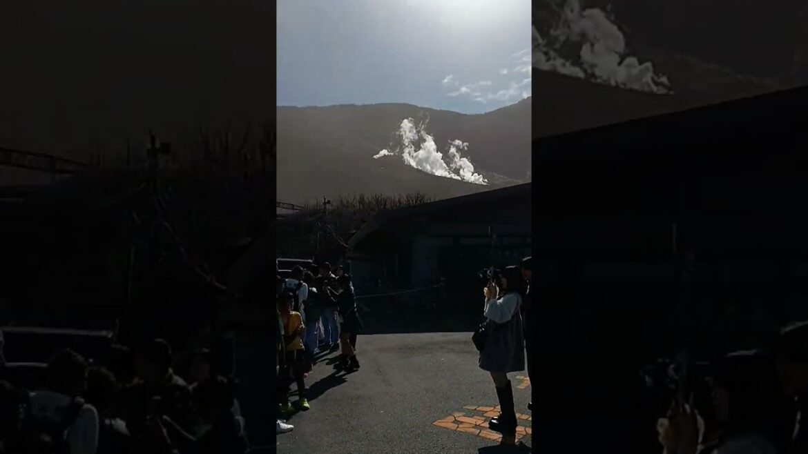 2024秋箱根仙石原大涌谷箱根神社箱根関所旅