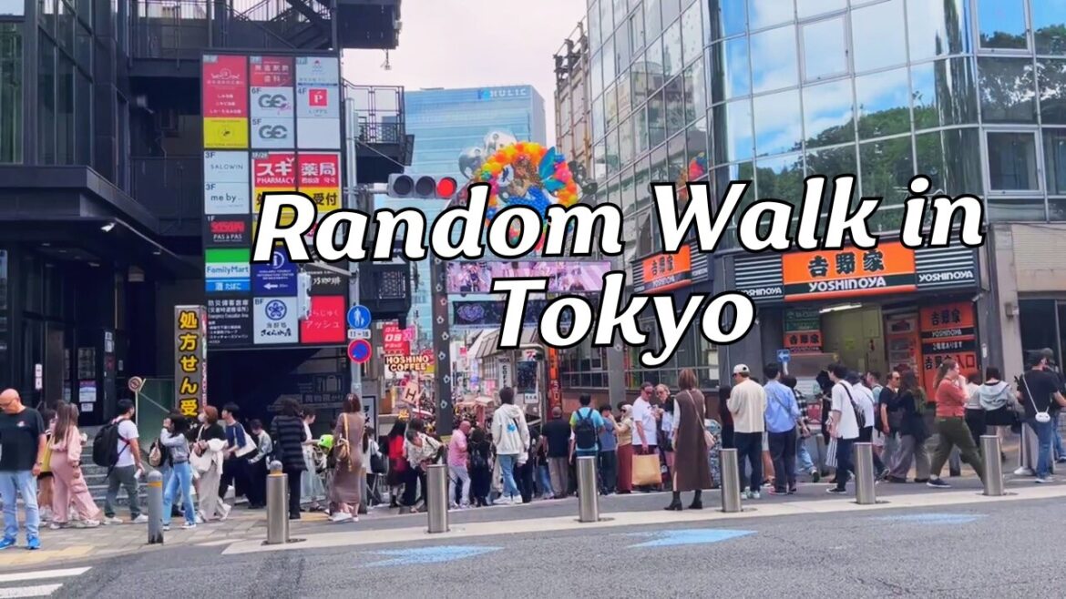 Tokyo Walking Tour 2024 | 東京 Tokyo Vlog
