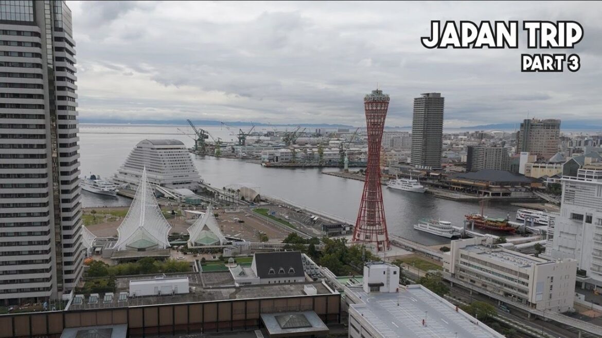 Japan Trip 2024 Part3 Japan Trip 2024 Part3