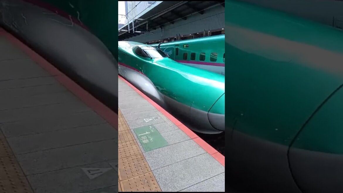 Shinkansen train (E5 series) approaching Tokyo #train #japan #trainspotting #railway #shinkansen