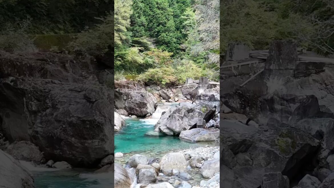 #阿寺渓谷 #Nagano #Emeraldgreen #阿寺渓谷 #Nagano #Emeraldgreen