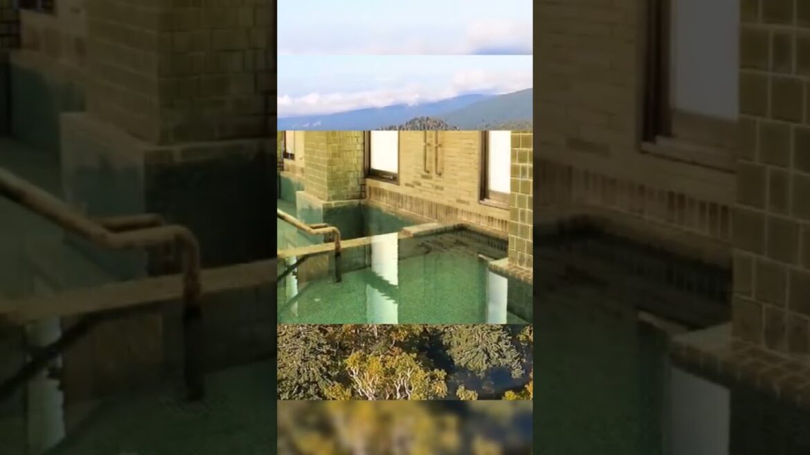 #shorts　Shot Movie of "Hokkaido Asahidake Onsen Hostel K's House Hokkaido”.旭岳温泉ホステル ケイズハウス北海道 ショート動画
