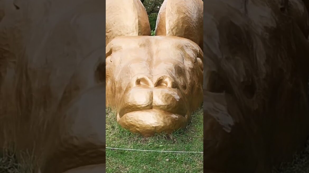 地面から黄金牛 #shorts