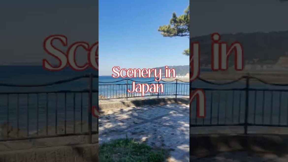 #japan #scenery #roadtrip #fyp #fypage