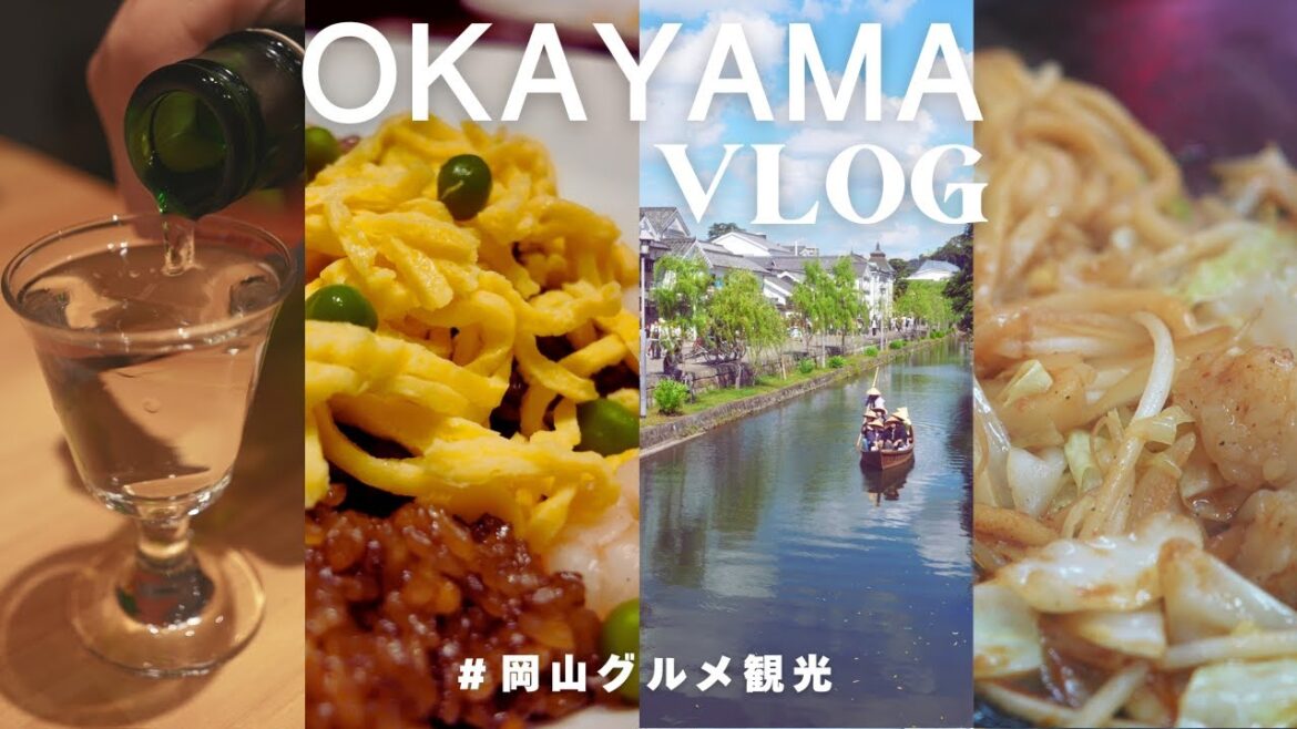 OKAYAMA TRIP VLOG 岡山グルメ旅 2024年秋〜岡山のグルメと観光を楽しむ旅〜 OKAYAMA TRIP VLOG 岡山グルメ旅 2024年秋〜岡山のグルメと観光を楽しむ旅〜