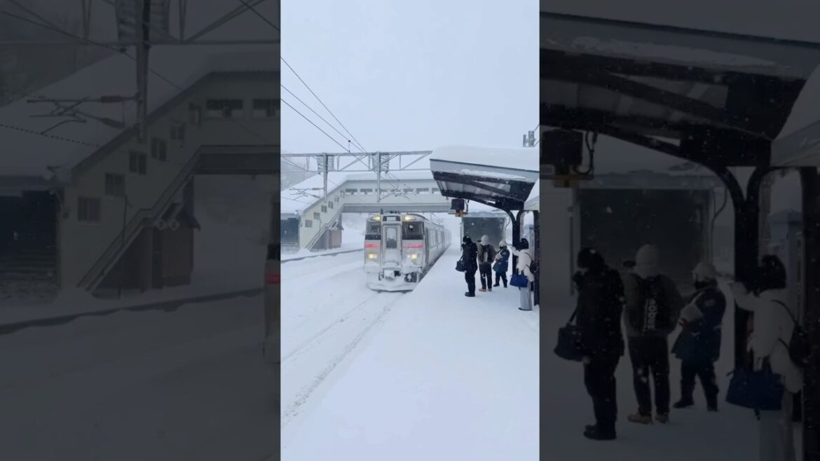 훗카이도 여행 폭설