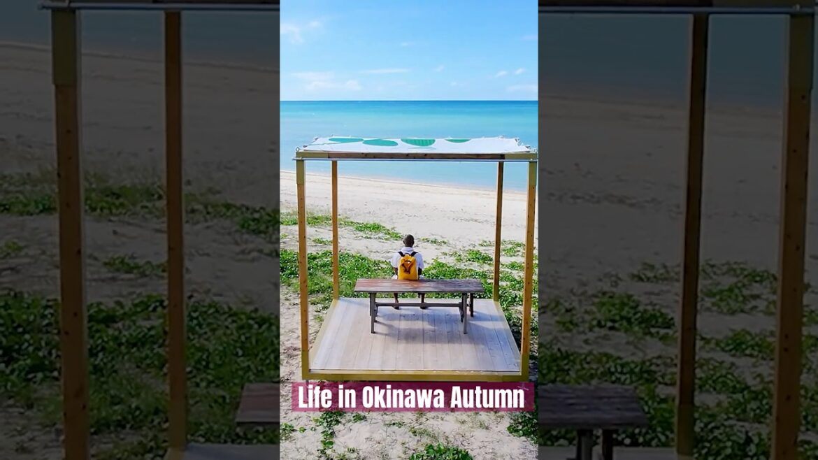 Life in Okinawa Autumn