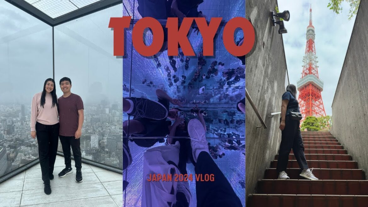 Tokyo Vlog #3 | TeamLab Borderless | Tokyo Tower | Gyukatsu | Shibuya Sky | Don Quijote | HeyTammy Tokyo Vlog #3 | TeamLab Borderless | Tokyo Tower | Gyukatsu | Shibuya Sky | Don Quijote | HeyTammy