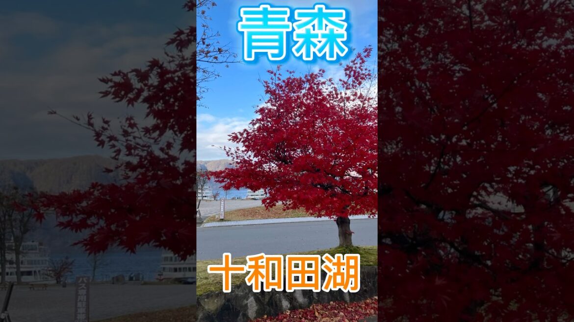 十和田湖畔　酸ヶ湯温泉　浅虫温泉　水族館