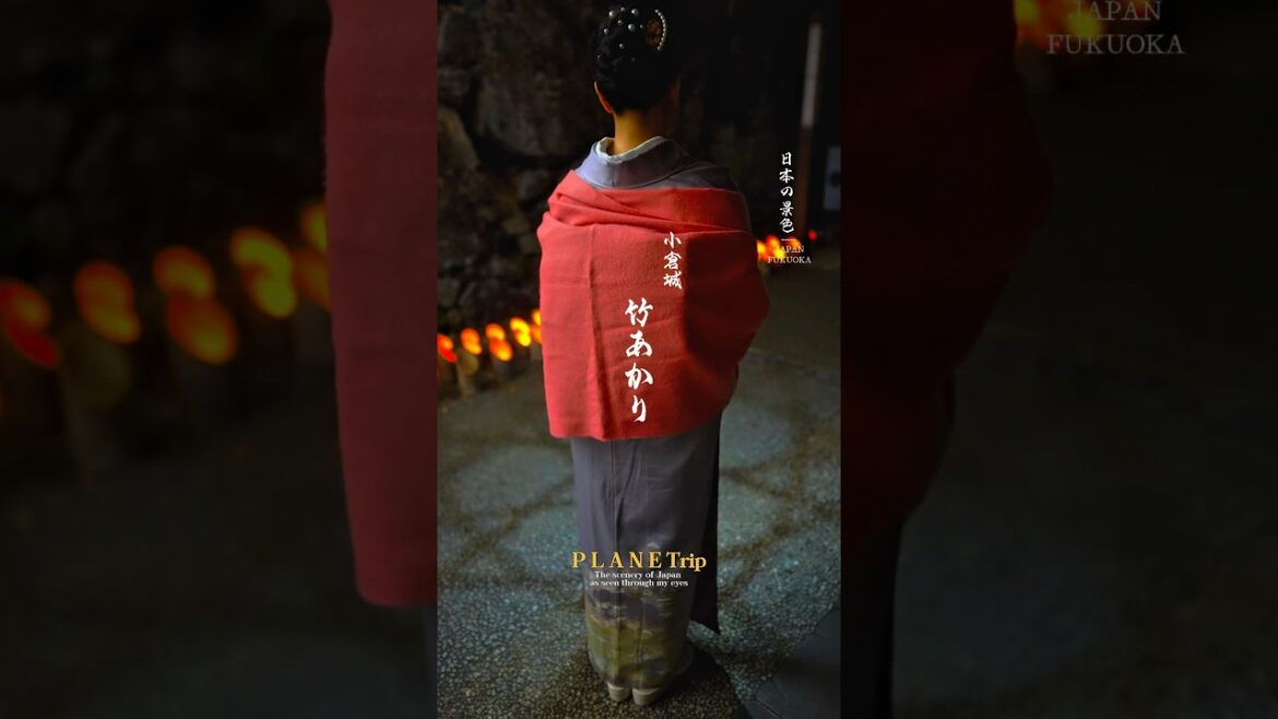 竹あかりは好きですか？Do you like bamboo light?PLANETrip【竹あかり 小倉城】福岡県北九州市 #japantravel #竹あかり