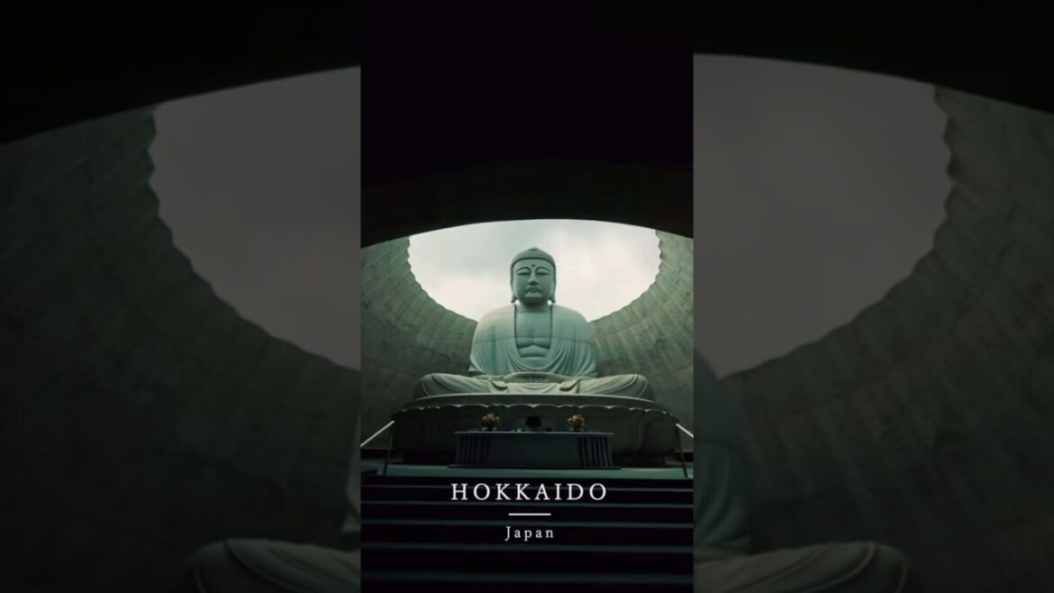 NEXT STOP IS 🚏Hokkaido 🇯🇵 Japan #japan #travel #vacation #hokkaido