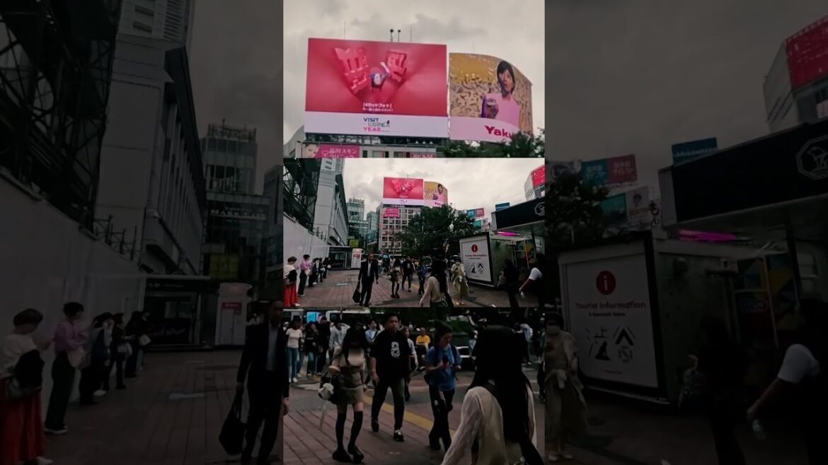 Shibuya Station & Hachiko Statue | Tokyo Walking Tour【Walk in Japan】 Johnny JAM🎸 section 1 #shorts Shibuya Station & Hachiko Statue | Tokyo Walking Tour【Walk in Japan】 Johnny JAM🎸 section 1 #shorts