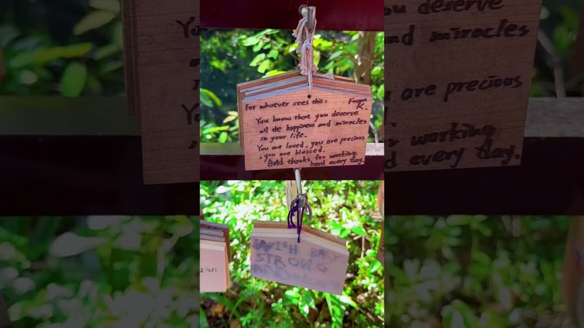 An afternoon in Inokashira Park #Shorts #Tokyo #park #familytime