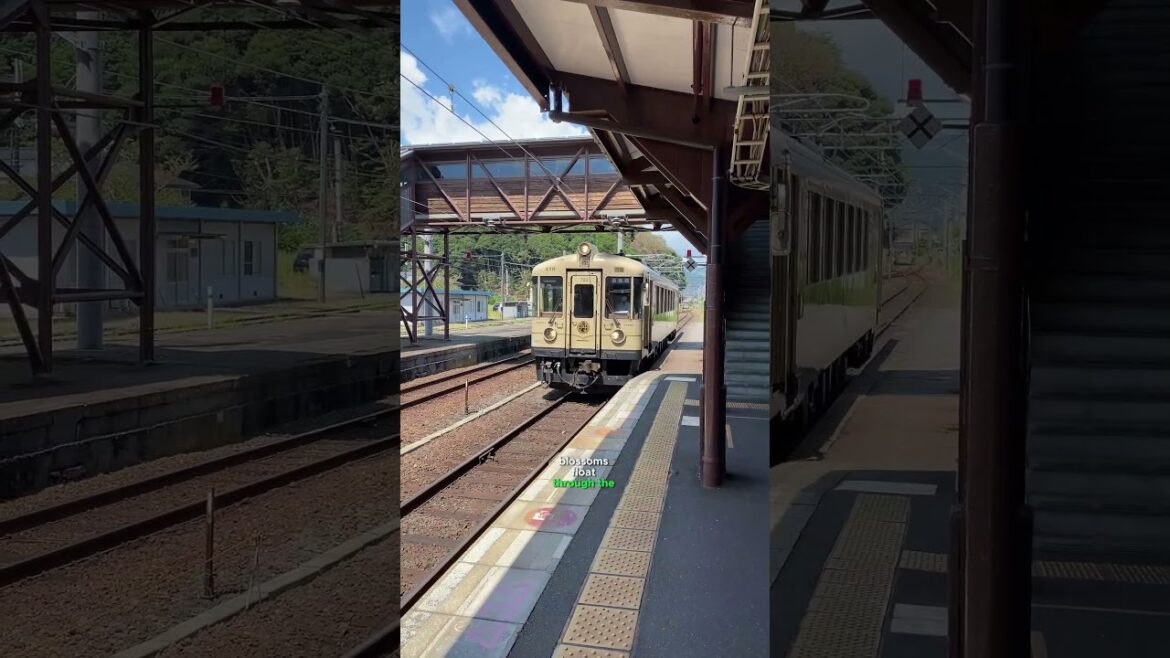 Discover the REAL Beauty of Kyoto's Temples! #travel #shorts #japan