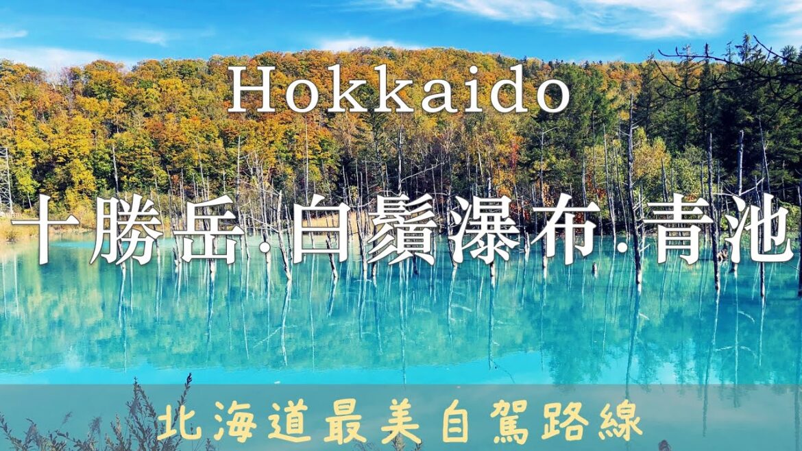 秋日北海道|富良野起司、十勝岳溫泉湯元凌雲閣、白鬚瀑布、青池、美瑛|秋日北海道溫泉五天四夜 Ep. 02 秋日北海道|富良野起司、十勝岳溫泉湯元凌雲閣、白鬚瀑布、青池、美瑛|秋日北海道溫泉五天四夜 Ep. 02