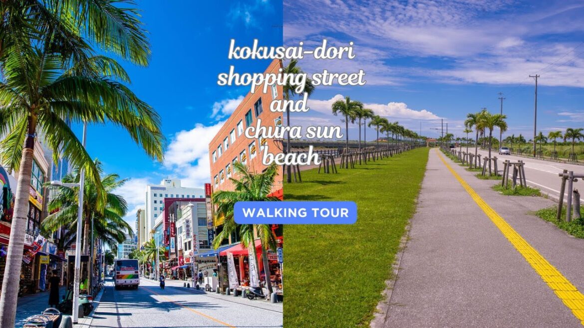 Okinawa Trip Day 3  | Kokusai-Dori Walking Tour | Chura-Sun Beach | Okinawa Japan