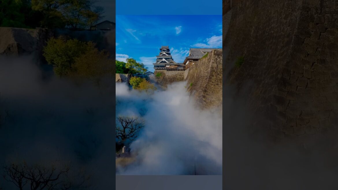#KumamotoCastle #Unkai （ #Kumamoto  ） ｜#Japan #Castle #shorts