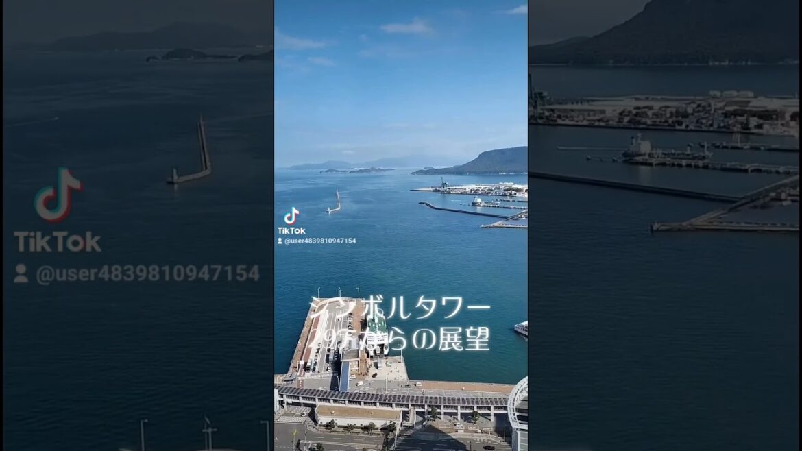 シンボルタワー29Fからの展望。屋島、女木島、玉藻公園、ガラスの赤灯台など見渡せます #高松港 #高松市 #玉藻公園 #瀬戸内海 #shorts