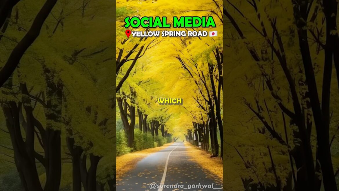 Places you won't believe really exists✈️