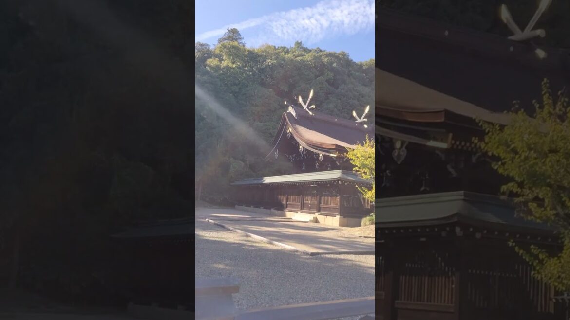吉備津彦神社⛩️