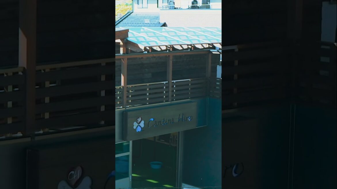 山梨の小さなワイナリー　カンティーナヒロ収穫祭　本編も是非ご覧ください。