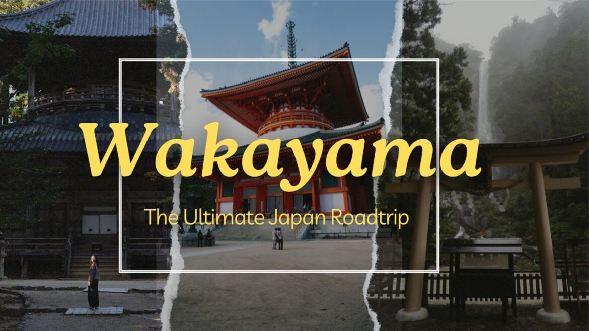 Is This Japan's Most Overlooked Place?┊Wakayama Road Trip - Japan's Scenic Hidden Spots┊Mark & Sarah
