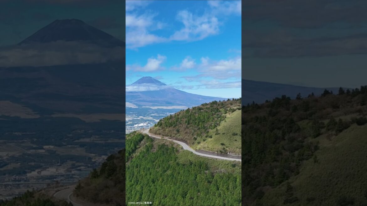 箱根芦ノ湖展望公園 #shorts 箱根芦ノ湖展望公園 #shorts