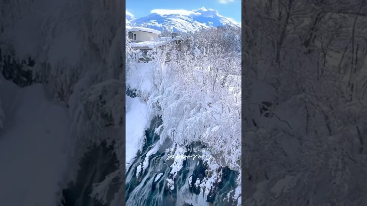 NEXT STOP IS 🚏 Sapporo ❄️ Fresh Snow Fall 🇯🇵 Japan #winter #japan #snow