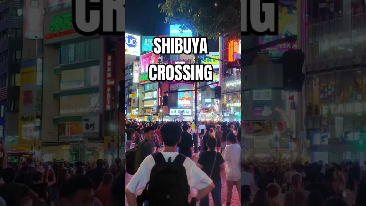 The World's Busiest Intersection: Shibuya Crossing #shibuya