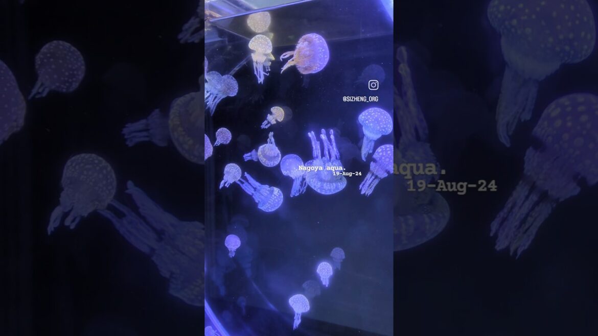 Nagoya Aquarium 🪼 #cute #jellyfish #aquarium #japantravel