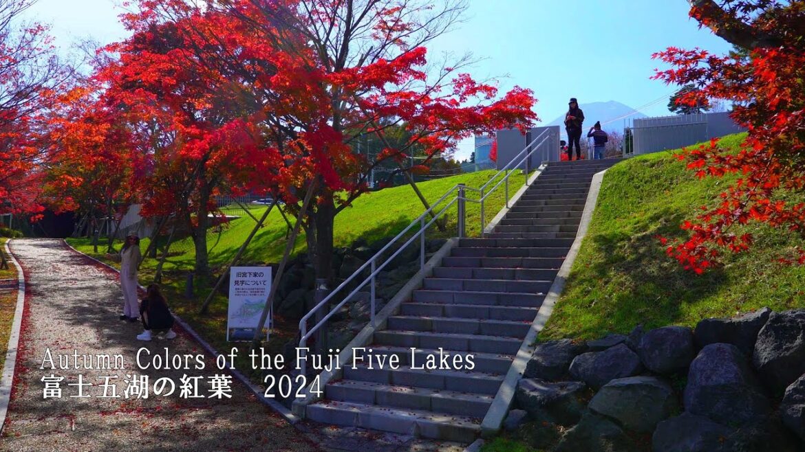 My hometown, famous autumn foliage spot of Fuji Five Lakes!