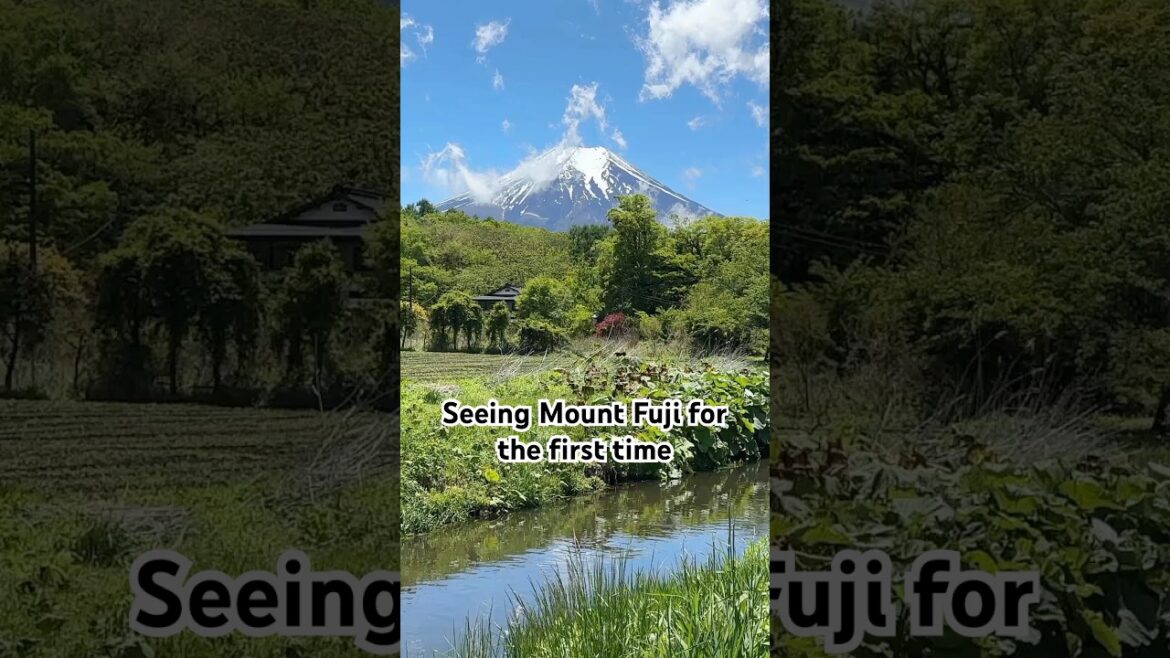 My favorite part about seeing Mount Fuji 🤍 #japantraveldiary