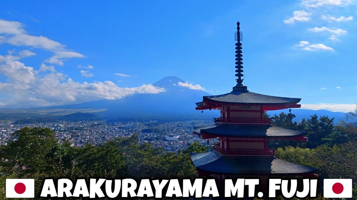 JAPAN TRIP IN MAPLE CORRIDOR - ARAKURAYAMA SENGEN PARK MT. FUJI 2024 🇯🇵