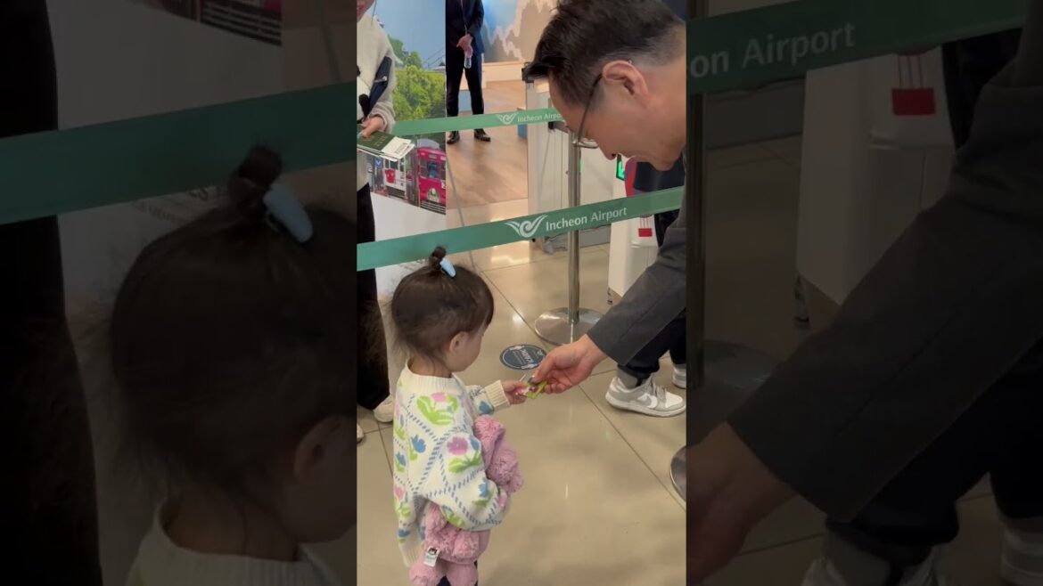 𝗢𝗭 𝗢𝗡𝗟𝗬✈️다시, 구마모토로!