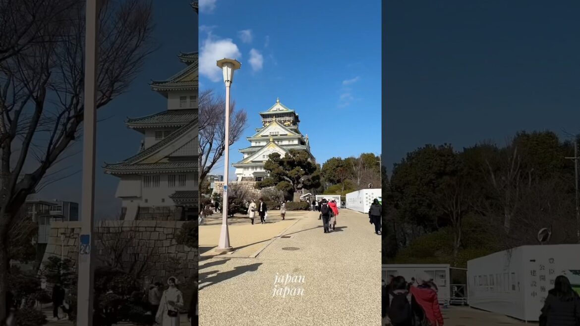 japan in february 🇯🇵