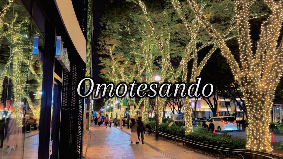 OMOTESANDO Beautiful district in Tokyo 表参道 2024
