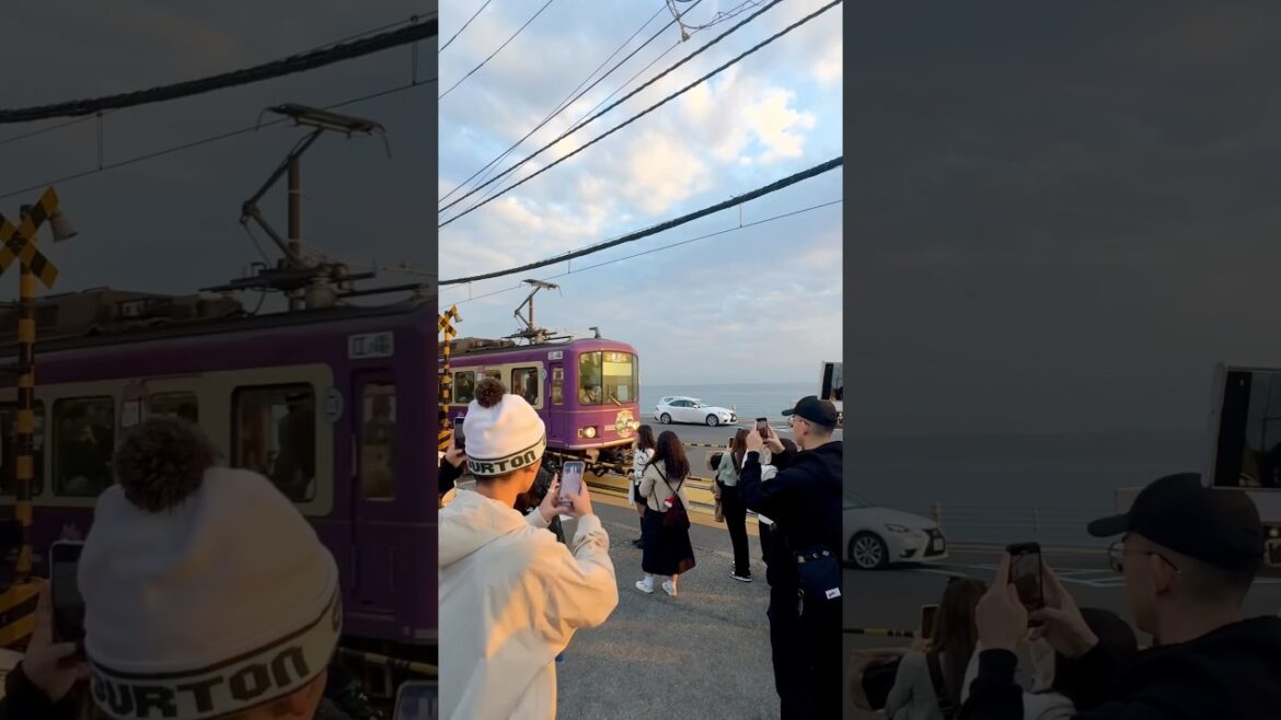 Japan - #slamdunkanime #japan #travel #2024