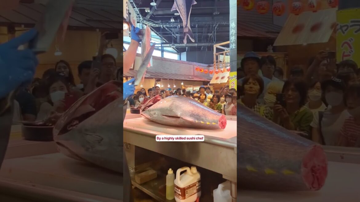 Wanna see a Tuna Master in action? Watch this! Wanna see a Tuna Master in action? Watch this!