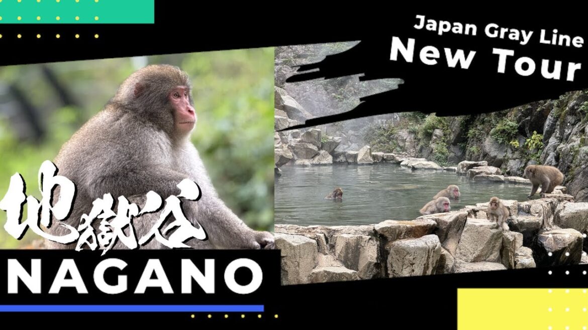 【Nagano】New Tour by Japan Gray Line 【Nagano】New Tour by Japan Gray Line