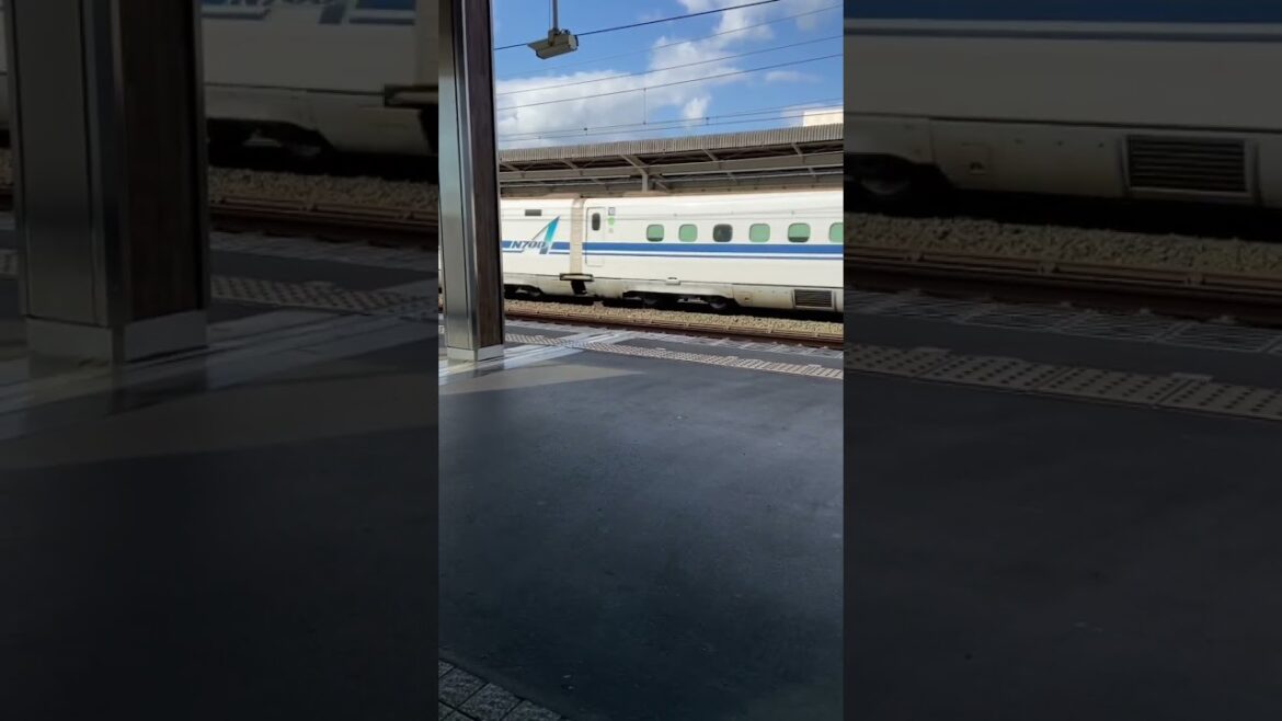 【N700A東海道新幹線掛川駅上り線通過・2024年11月・下りホームからの車窓】 #ご視聴ありがとうございます #shinkansen #japan #shorts #高速通過