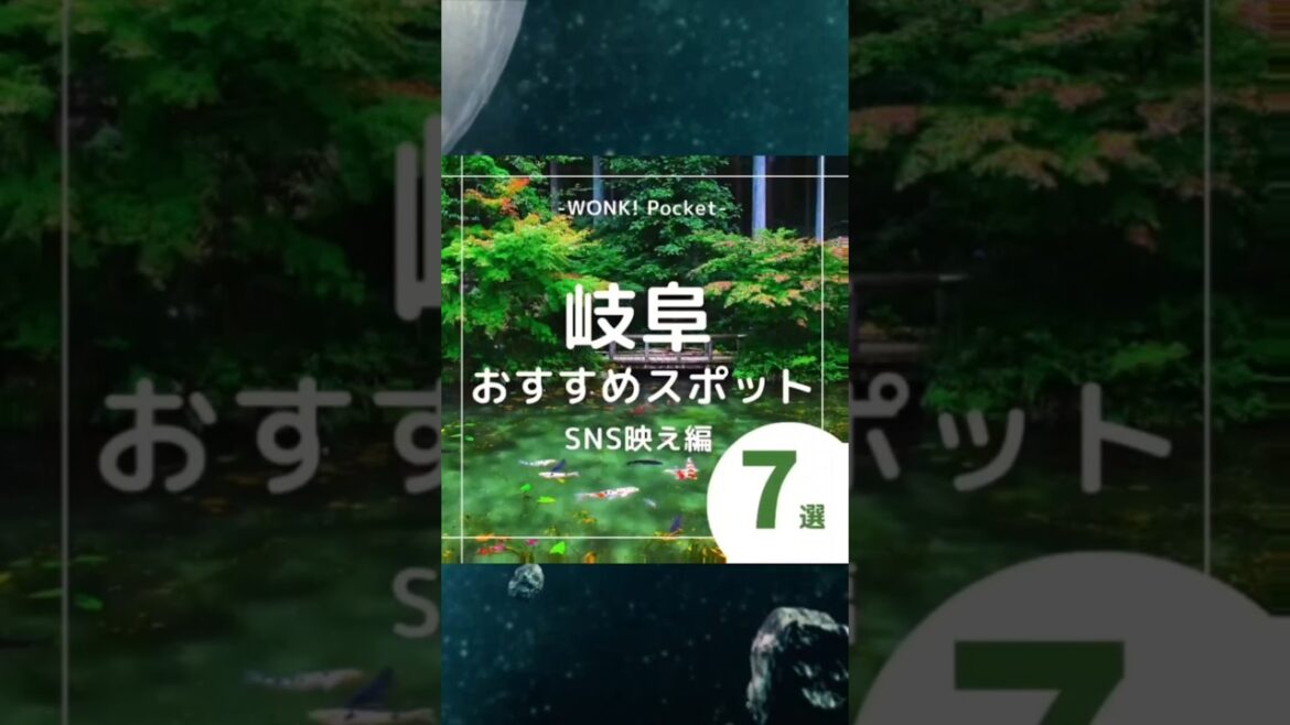 ★あなたは何個目の景色が好き？【岐阜県のおすすめスポット7選〜SNS映え編〜】  #gifu  #japan #日本の映えスポット #観光スポット #おすすめ7選 #岐阜  #shorts