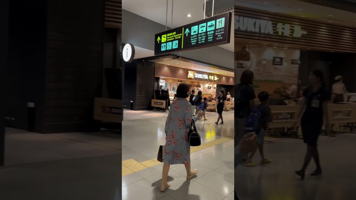 【OSAKA】Everyday Common Scene - Kansai Airport