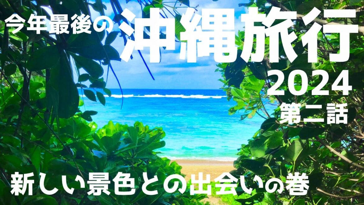2024年 最後の沖縄旅行 【第2話】OKINAWA TRIP 2024 Sony RX100 GoPro HERO7 茨城空港発