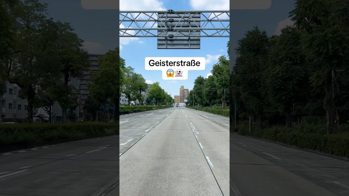 bis dann aufeinmal die Autos angerauscht kamen… nix wie weg 😱 #japan #nagoya #reisetipps #meme