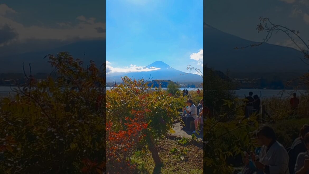 Travel (Mt. Fuji | Lake Kawaguchi 13/11/2024) #traveling #lake #mauntains #japan