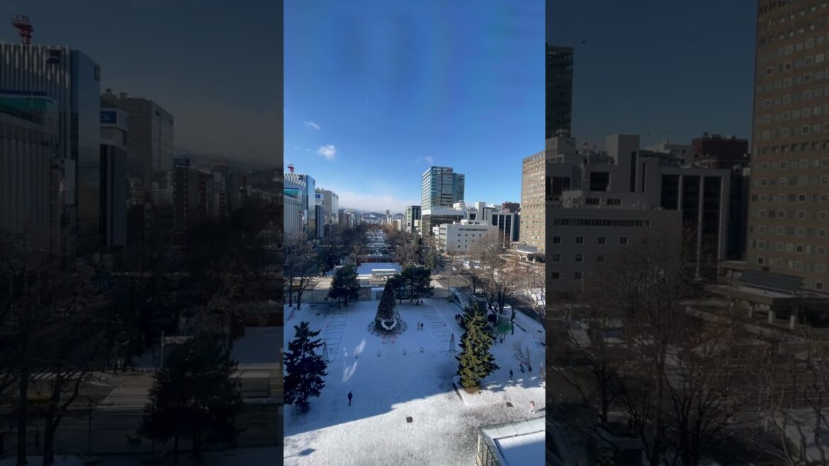 View from Sapporo TV Tower, Hokkaido Japan #sapporo #hokkaido #japan