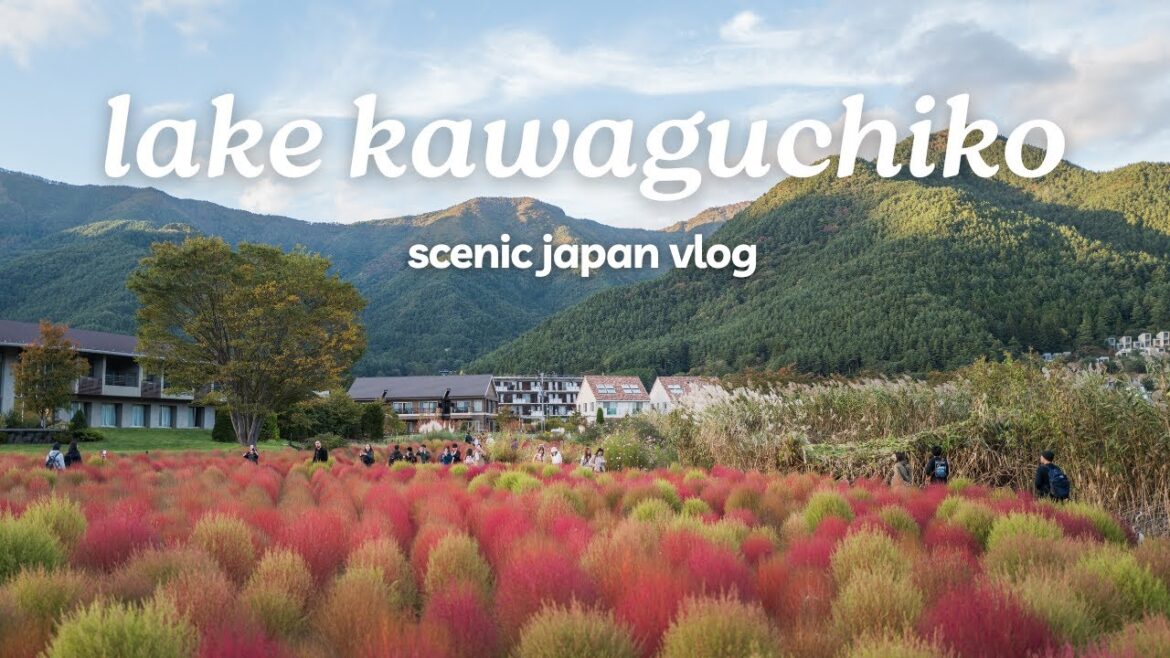 Lake Kawaguchiko Japan Vlog | Food, Oishi Park, Chureito Pagoda, Healing Village | Japan Days 1-3 Lake Kawaguchiko Japan Vlog | Food, Oishi Park, Chureito Pagoda, Healing Village | Japan Days 1-3